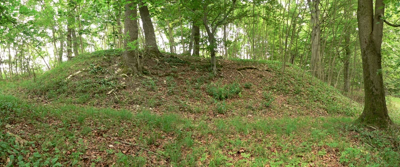 Alte Burg