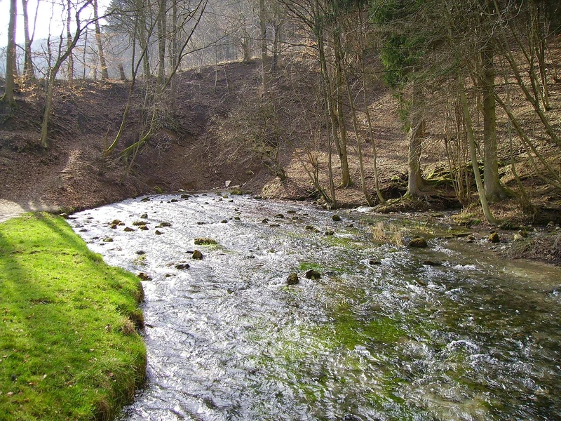 Kocherursprung