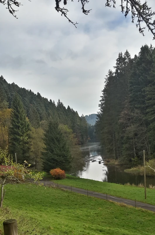 Hummelberg