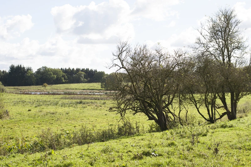 Schwartautal und Curauer Moor