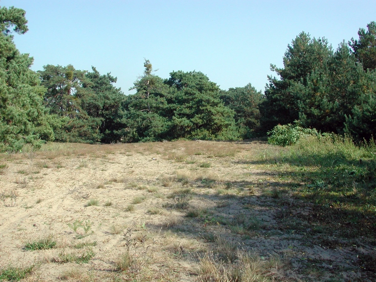 Spielplatz