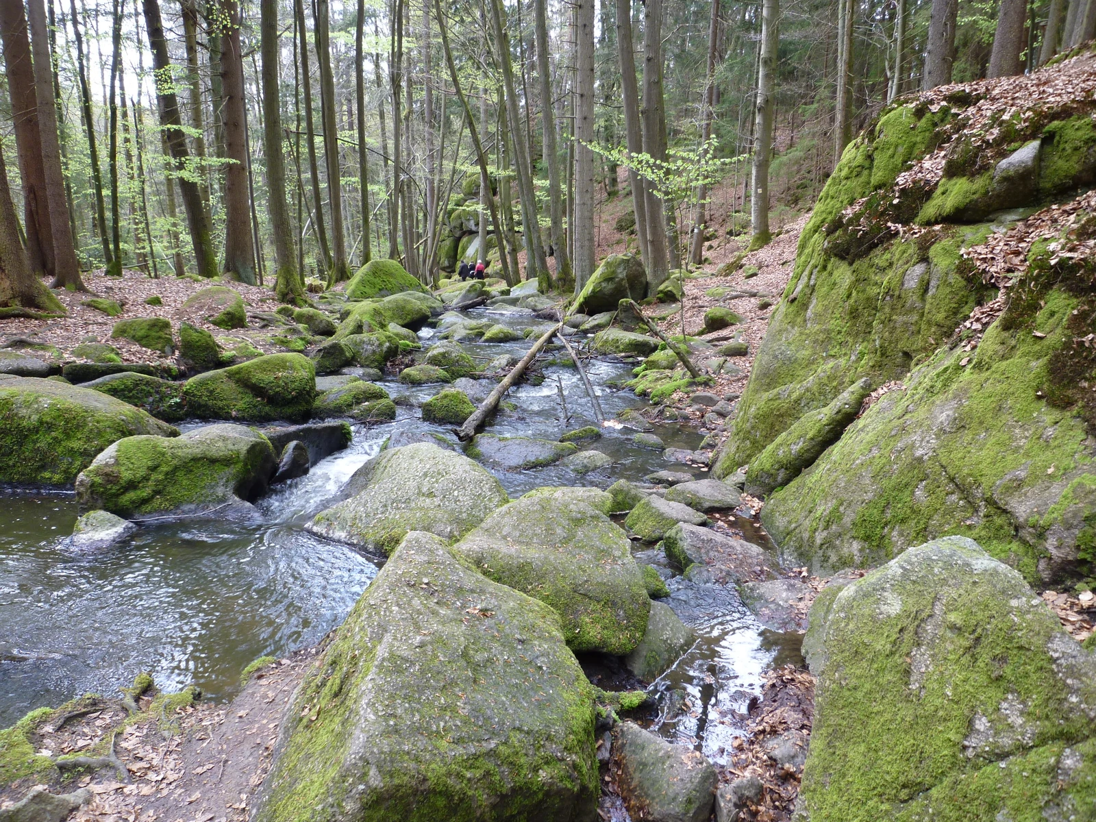 Naturschutzgebiet Hölle
