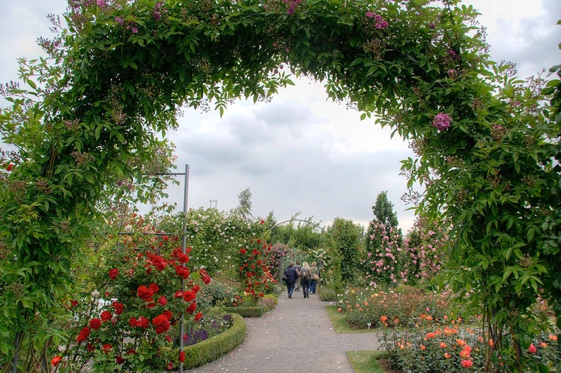 Europa Rosarium