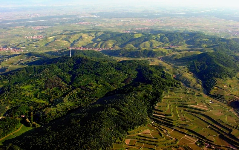 Eichstetten am Kaiserstuhl
