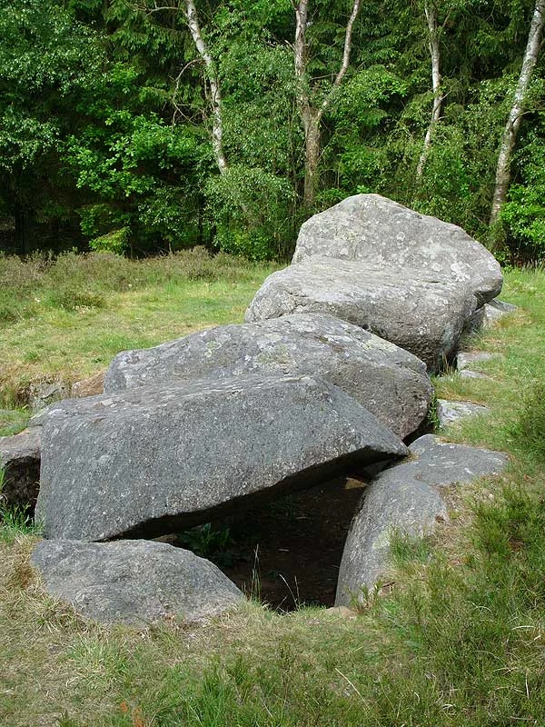 Großsteingrab Soderstorf