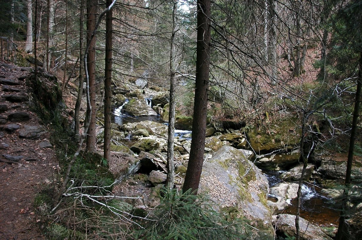 Parkplatz Wildromantische Steinklamm