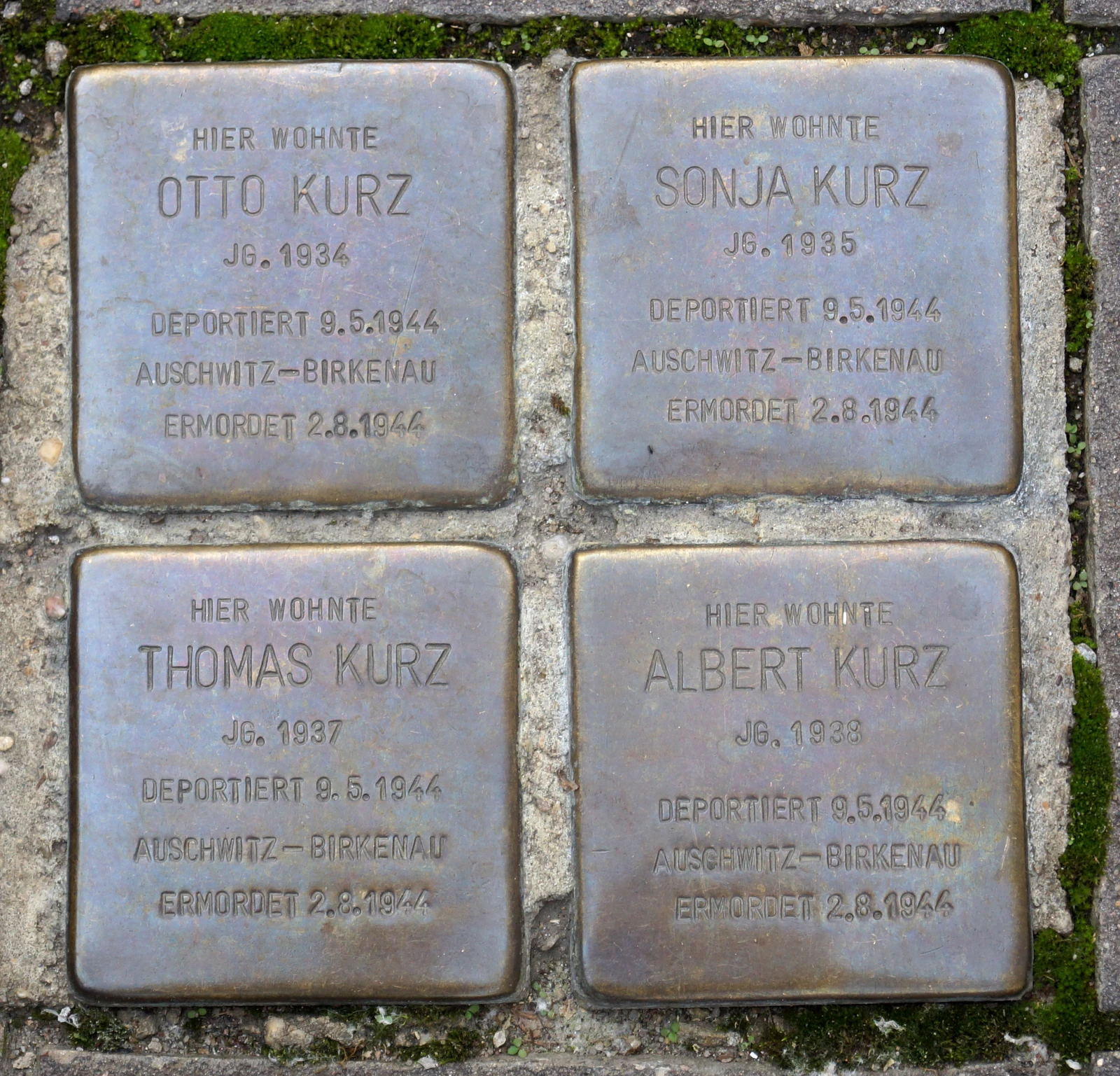 Otto Kurz