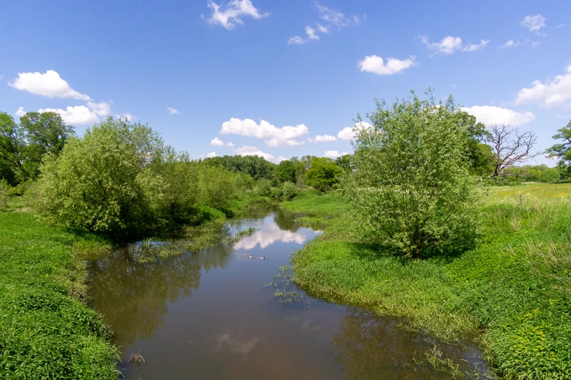 Emsaue bei Telgte