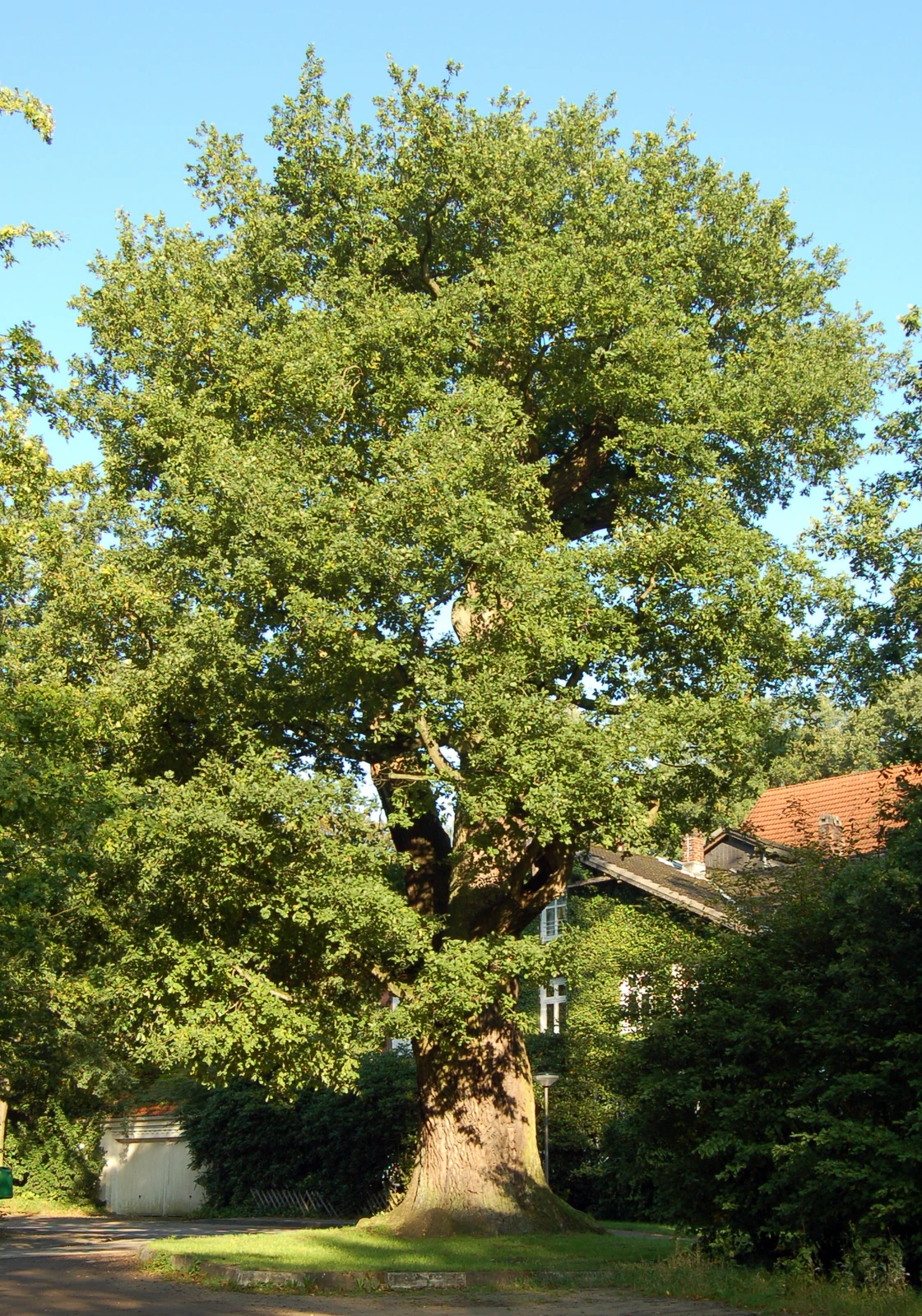 Spielplatz