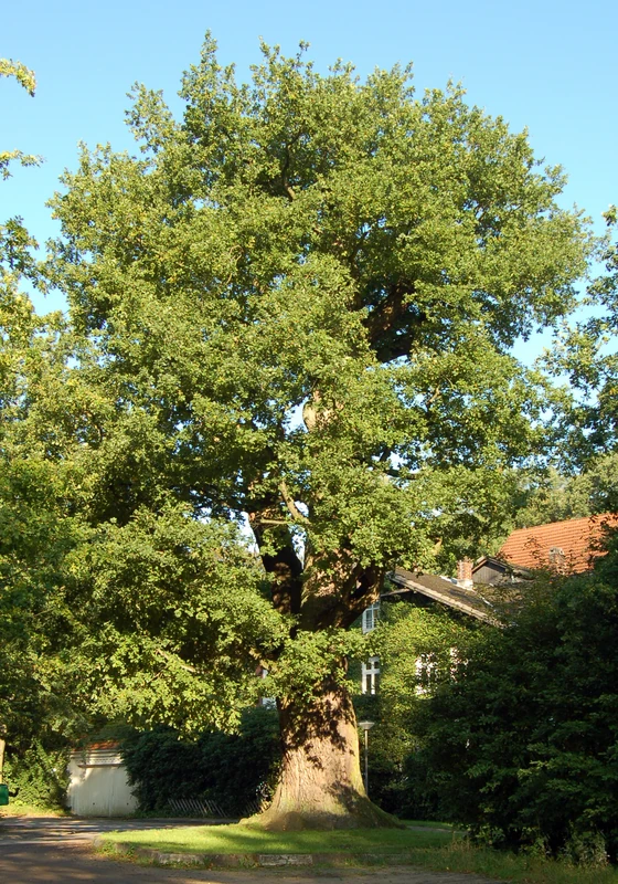 Spielplatz