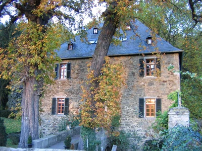 Burg Vilzelt Foto 1