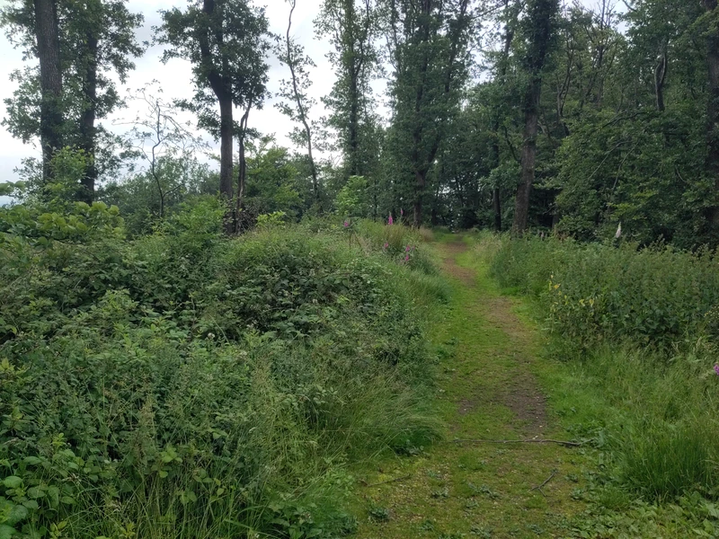 Werther Schanze