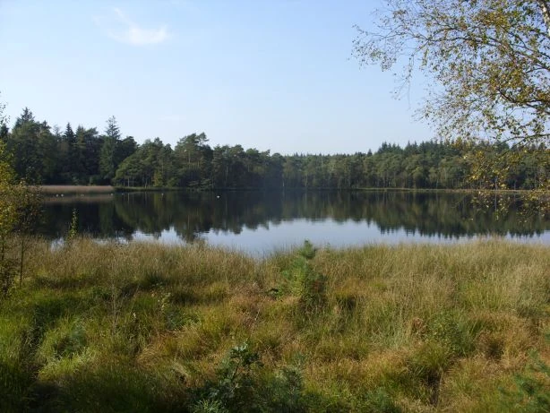 Wanderwege dör't Moor