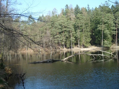 Wiesbüttsee Foto 1