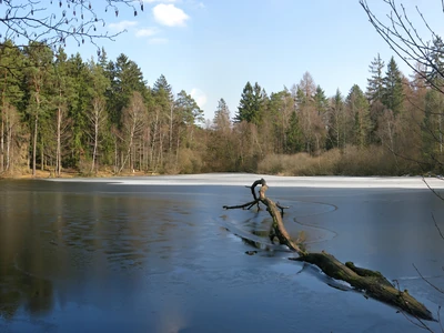 Wiesbüttsee Foto 2