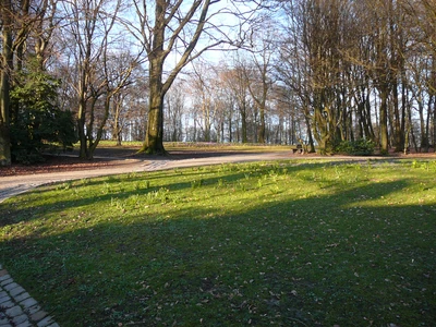 Nützenbergpark Foto 1