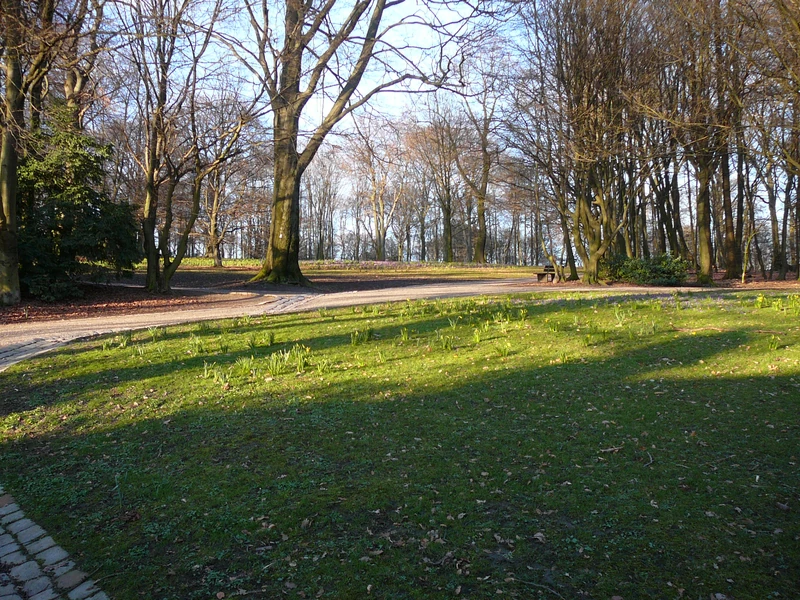 Nützenbergpark