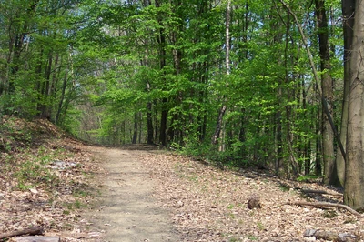 Nützenbergpark Foto 2